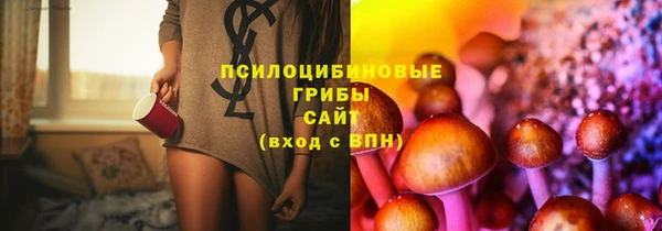 ALPHA PVP Баксан