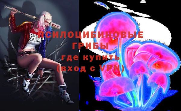 ALPHA PVP Баксан