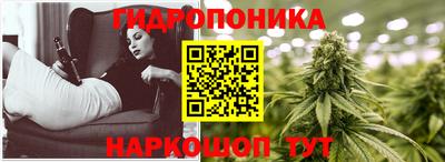 а пвп мука Кингисепп